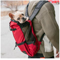 Travel Buddy