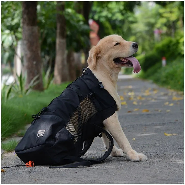 Travel Buddy