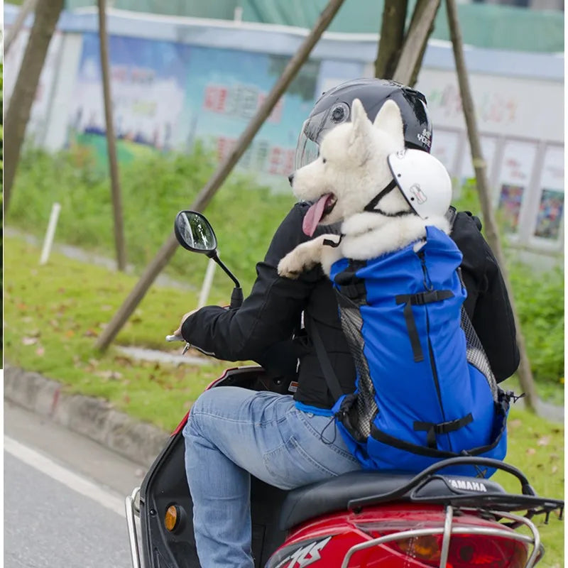 Travel Buddy