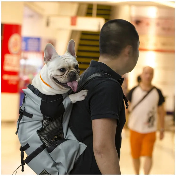 Travel Buddy