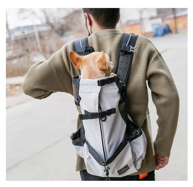 Travel Buddy