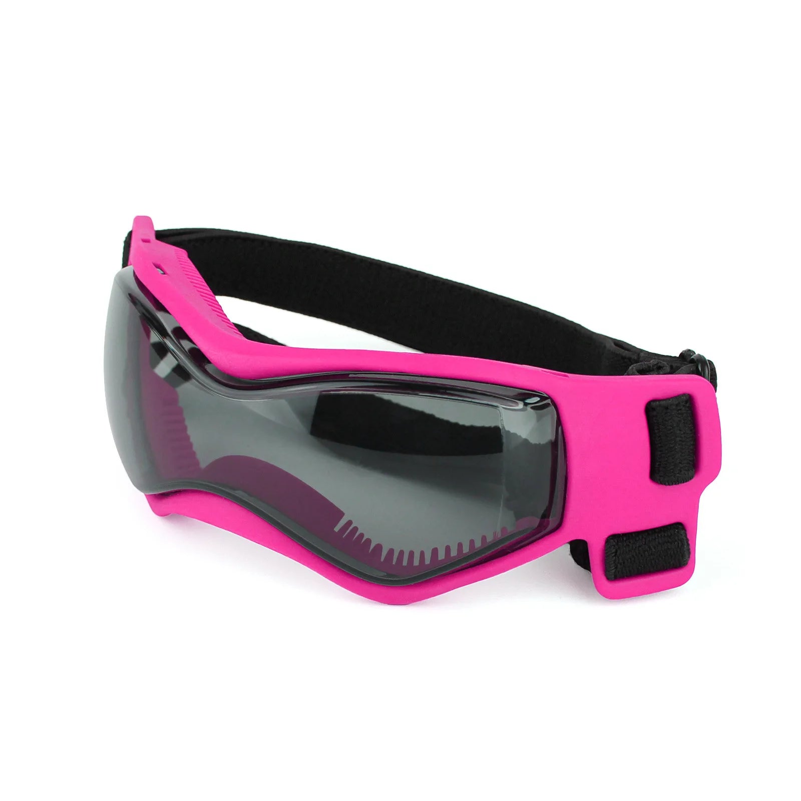 Puppy Glasses