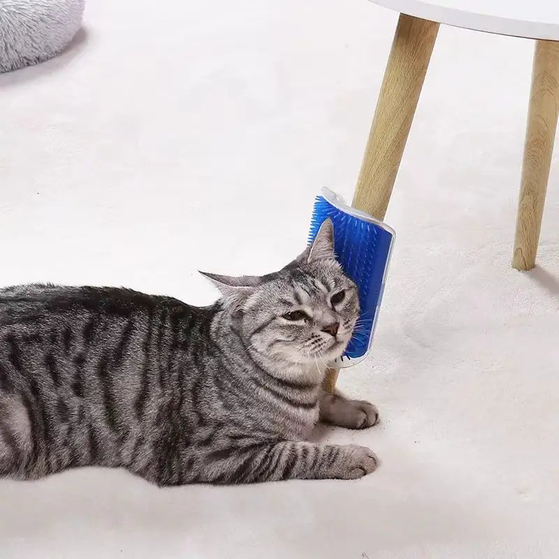 Cat Self Cleaning Brush And Massager