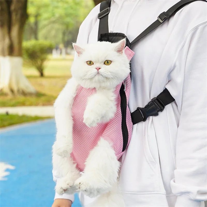 Travel Kitty