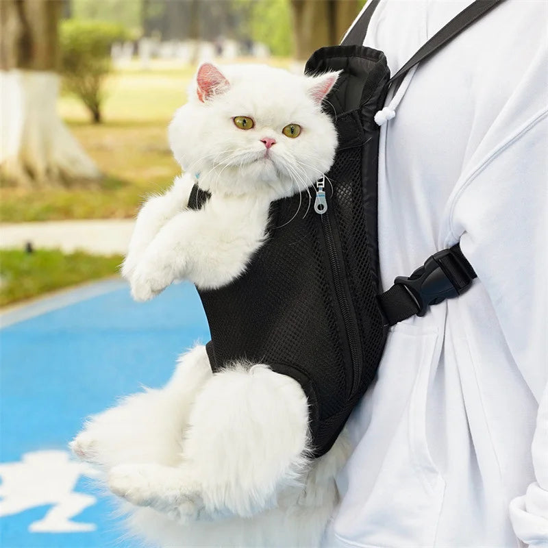 Travel Kitty