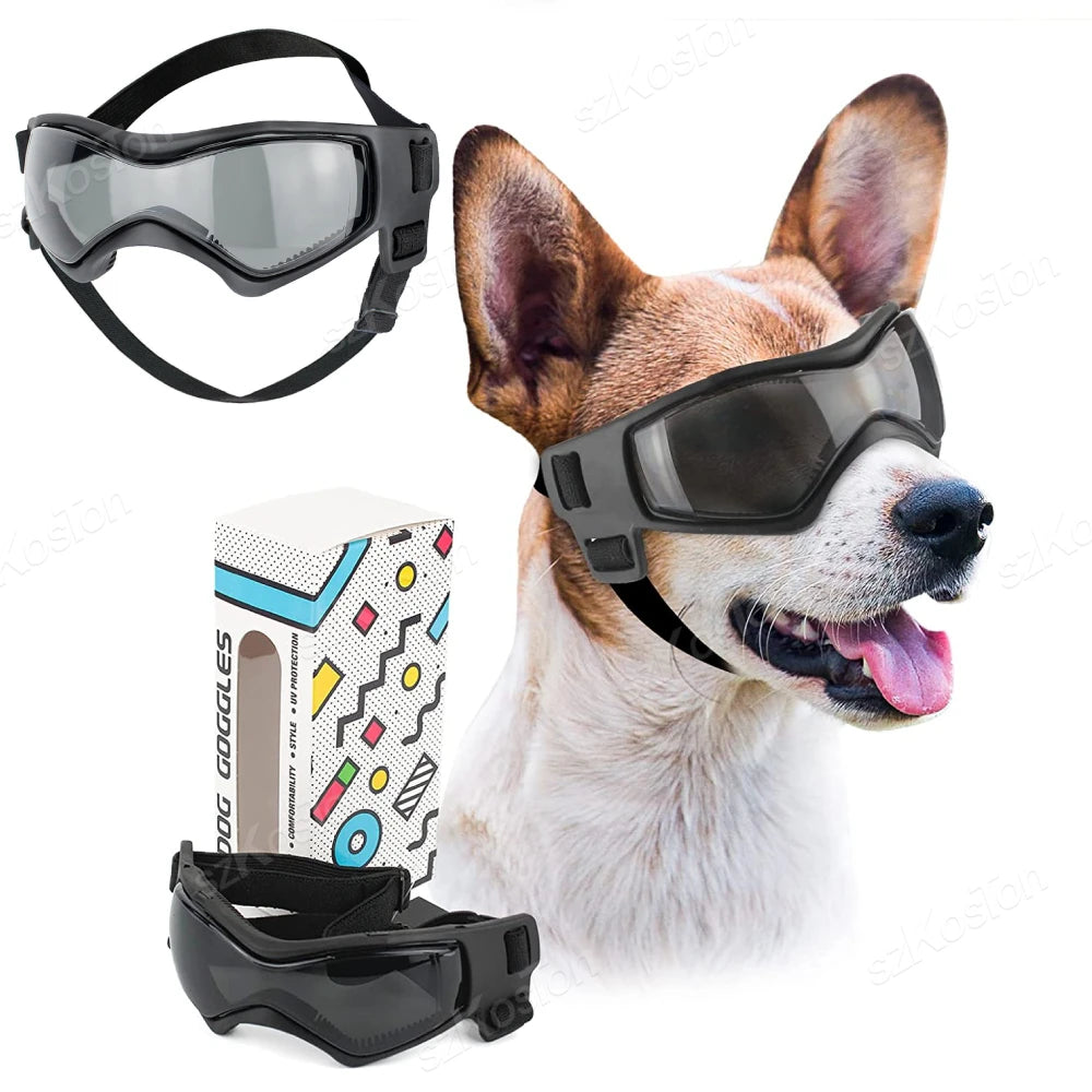 Puppy Glasses
