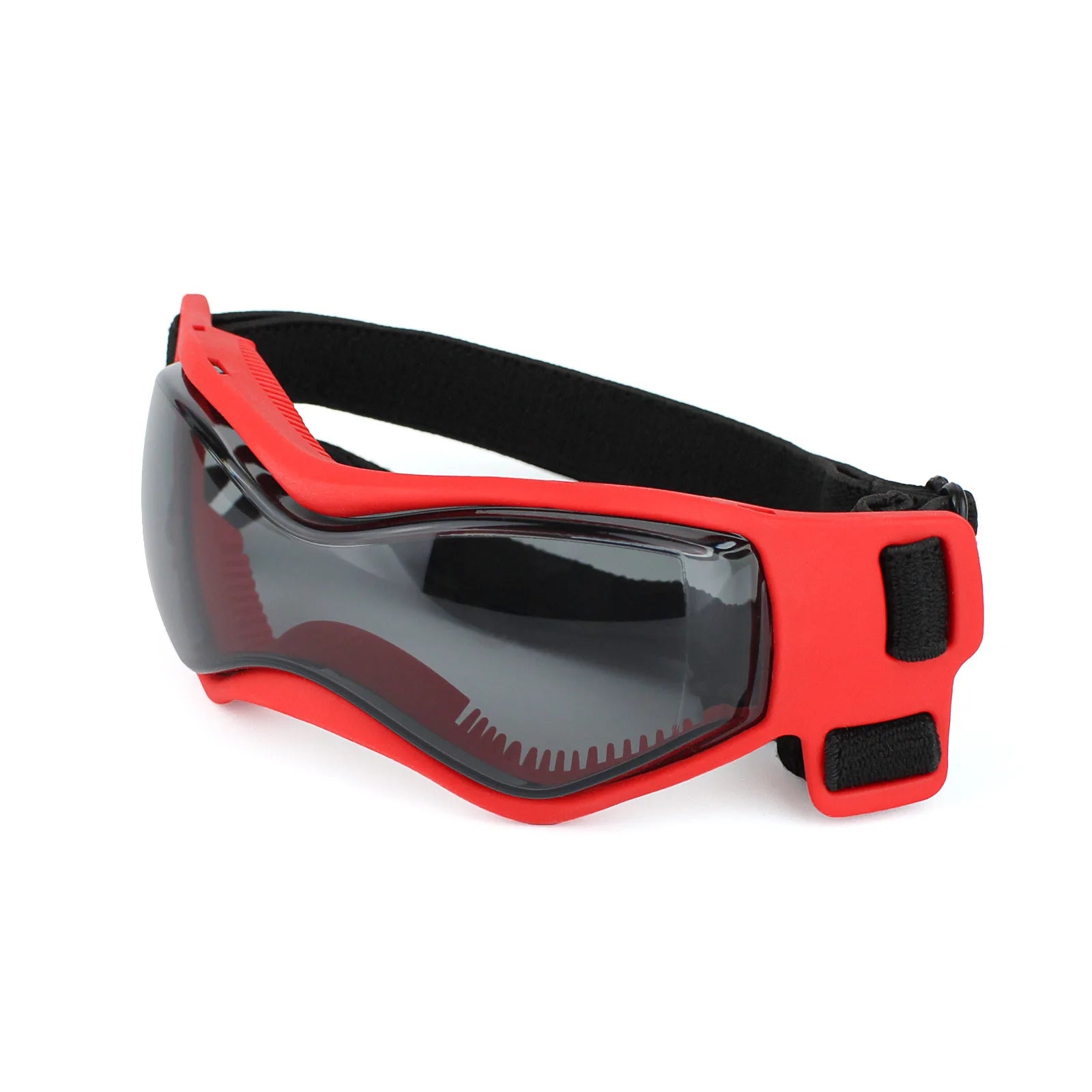 Puppy Glasses